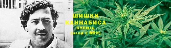стаф Белоозёрский