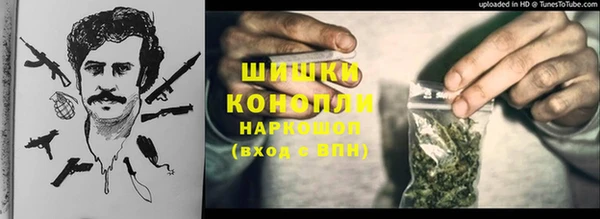 стаф Белоозёрский