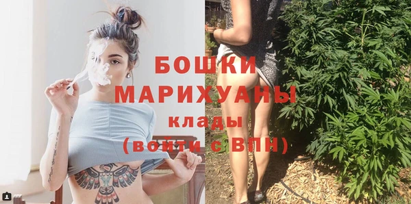 кокс Белокуриха