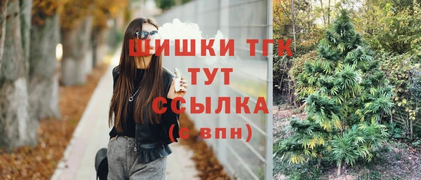 кокс Белокуриха