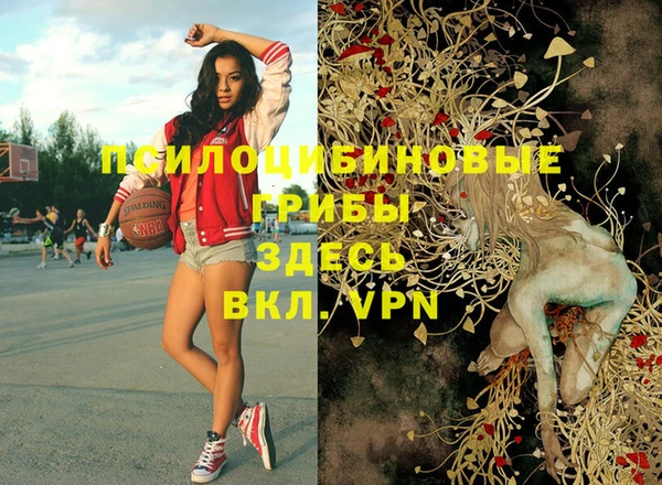 стаф Белоозёрский