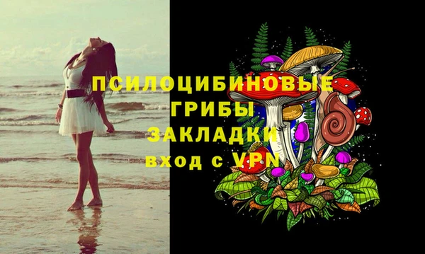 стаф Белоозёрский