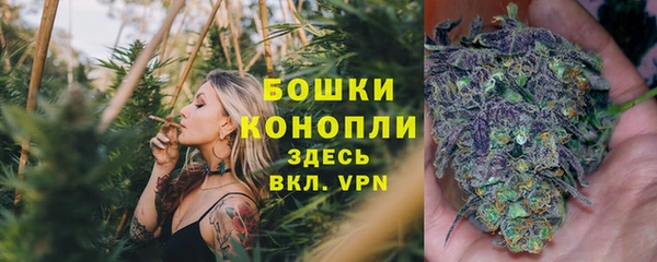 кокс Белокуриха