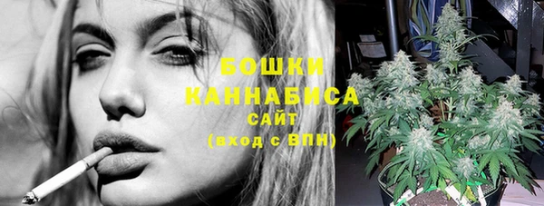 кокс Белокуриха