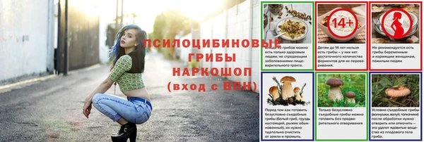 кокс Белокуриха