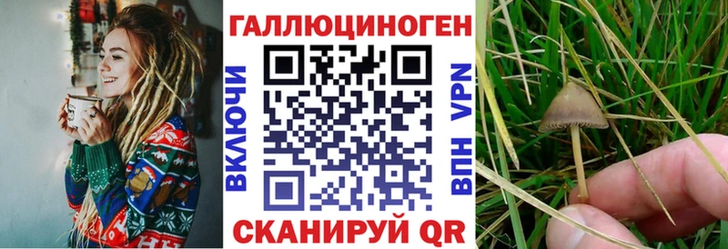 Галлюциногенные грибы мухоморы  Купить закладки  Черемхово 