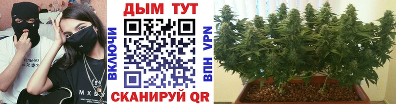 Каннабис индика  Купить  Черемхово 